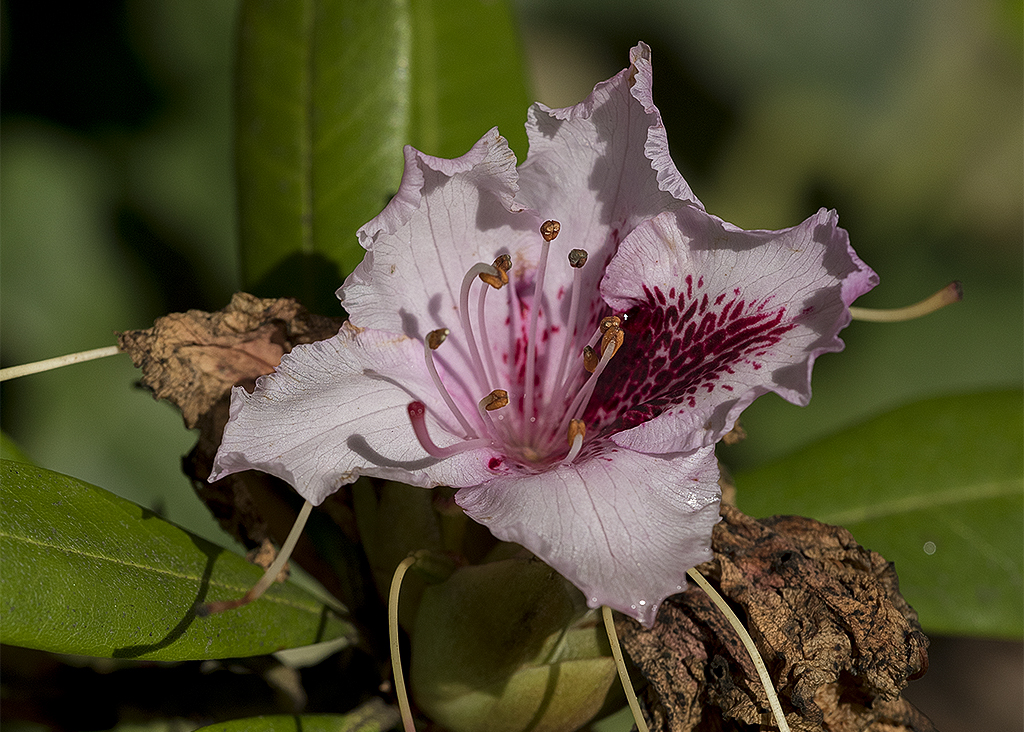 4711 WTL ZooviertelKA7_6819 als Smartobjekt-1 Kopie.jpg